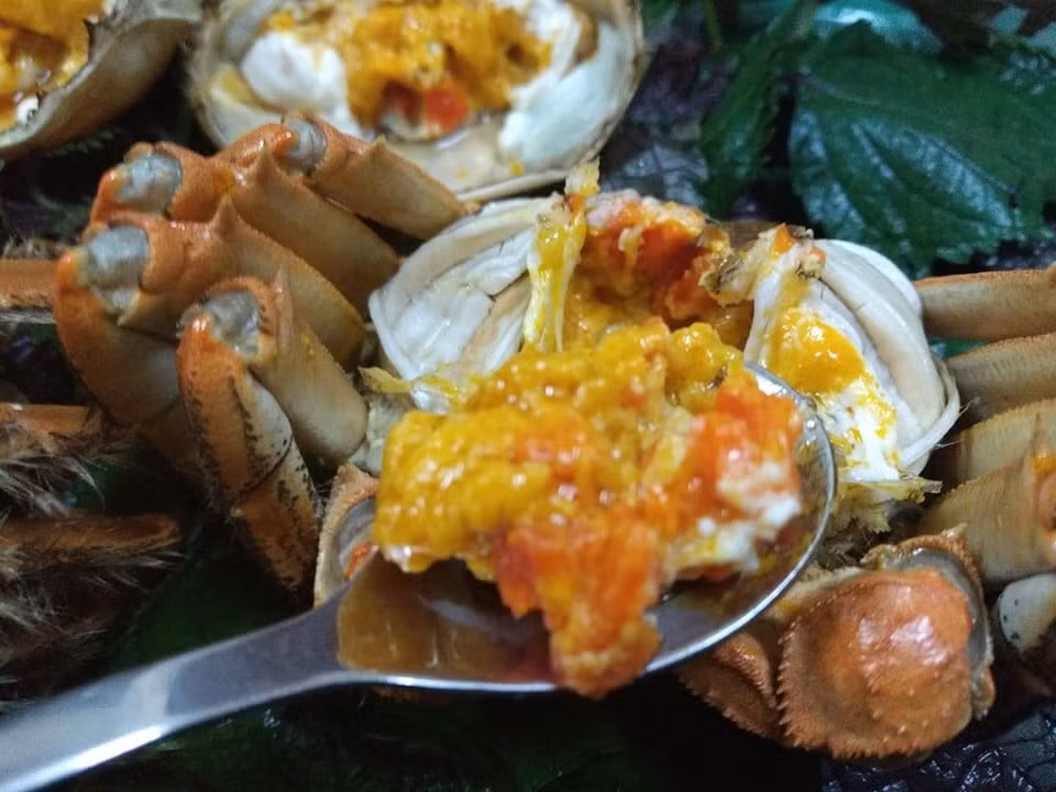Cách phân biệt cua lông Việt Nam và cua lông Thượng Hải dễ nhất đó là, mỗi con cua lông nhập từ Thượng Hải về đều có nẹp nhựa và mã vạch còn cua từ nơi khác nhập về thì không có.