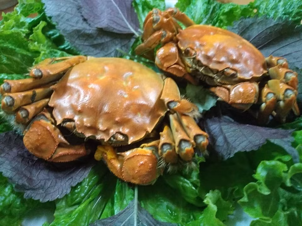 Loại cua lông bày bán ngoài chợ có giá siêu rẻ là vì đó là hàng Việt. Chúng có tên là cua cà ra, cua da, cua sông hoặc cua sông Hồng, hình dáng giống cua lông Thượng Hải.