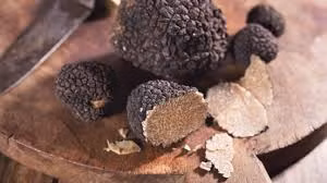 Còn nấm Truffle đen mùa hè không thơm bằng, nên giá rẻ chỉ bằng 1/5 so với nấm đen mùa đông, dao động từ 150 – 200 USD/kg.