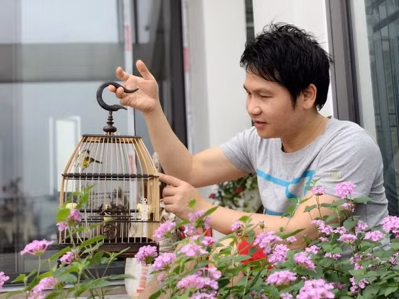 Từng khóm hoa đua nhau khoe sắc. Ảnh: Công lý &amp; xã hội.