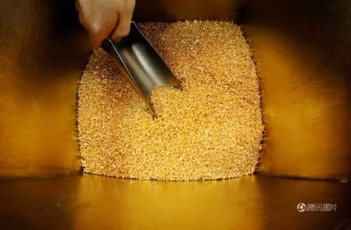 Để tạo ra những thỏi vàng có độ tinh khiết 99,99%, hay còn gọi là vàng 24K, người ta chế tác từ hạt vàng có độ tinh khiết 99,99%.