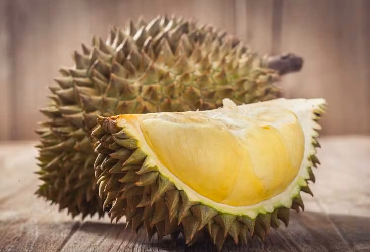 Vì có mùi "kinh khủng" nên sầu riêng bị cấm trên nhiều phương tiện công cộng và một số khách sạn. Nguồn ảnh: Internet.