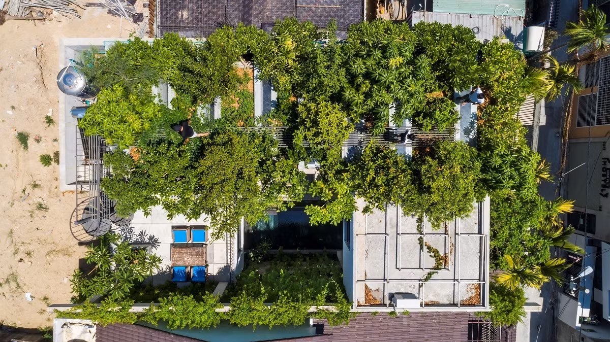 Công trình thứ hai là Thắng house - ngôi nhà Nhà Đà Nẵng giành chiến thắng ở hạng mục Nhà ở đô thị. Ảnh: Hiroyuki Oki