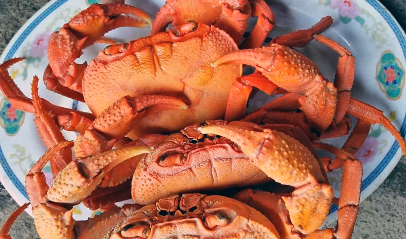 Cua đá Hà Giang cũng là đặc sản vùng núi được khách hàng ưa thích. Loại cua đá này có hình dáng bên ngoài giống hệt cua đồng, song kích cỡ lớn hơn nhiều. Ảnh: Vietnamnet.