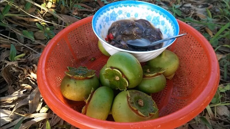 Trái bần hoang dã từ thứ bỏ đi rụng đầy ở ven bãi bồi giờ được bà con thu hoạch, lượm quả để bán, thậm chí trái bần được xuất khẩu sang nhiều nước Canada, Đức, Úc..