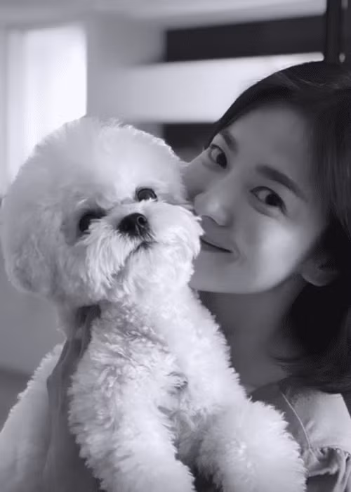Khi không trang điểm, phần bọng mắt và nếp nhăn của Song Hye Kyo lộ rõ hơn. Ảnh: Instagram