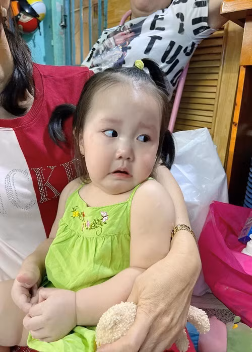 Bé Bào Ngư có ngoại hình vô cùng dễ thương.