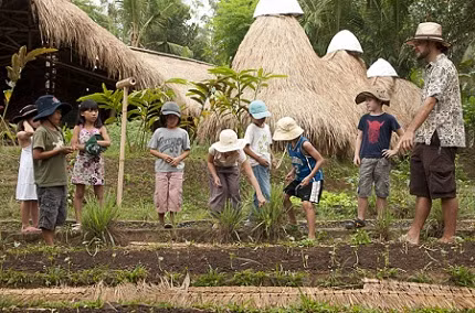 Trường học gồm có 75 phòng học rất mát mẻ với hệ thống năng lượng mặt trời và dầu diesel sinh học. Các đồ vật khác như bàn, ghế… cũng đều được làm từ tre. Khuôn viên của trường được thiết kế như một khu canh tác công nghiệp sinh thái, có nhiều khu vườn nhỏ, mục đích là để tạo ra một môi trường hoàn toàn tự nhiên và tận dụng cải tạo tài nguyên đất. Đây là còn là nơi trồng trọt của học sinh. Green School với chương trình đào tạo trọng tâm là dạy học sinh biết cách sống bền vững với thiên nhiên đang thu hút học sinh đến từ nhiều quốc gia và hiện là một mô hình giáo dục được quốc tế thừa nhận.