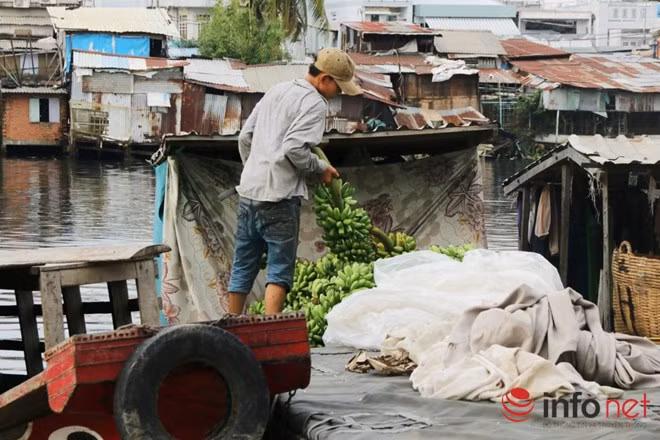 Hằng này, khoảng 17h đến 22h , họ bày bán đủ các loại trái cây trên vỉa hè đường Trần Xuân Soạn bán lẻ cho những người qua đường…