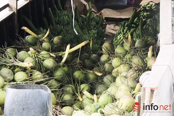 Cứ độ 3 – 5 ngày, khi lượng trái cây trên ghe đã hết, họ lại nhổ neo xuôi theo dòng sông Tẻ, về các miệt vườn miền Tây Nam Bộ lấy hàng. Mỗi một chuyến đi như thế này, ghe họ chở nhiềù loại trái cây như chuối, dừa, chôm chôm… lên Sài Gòn bán lẻ, bán sỉ.