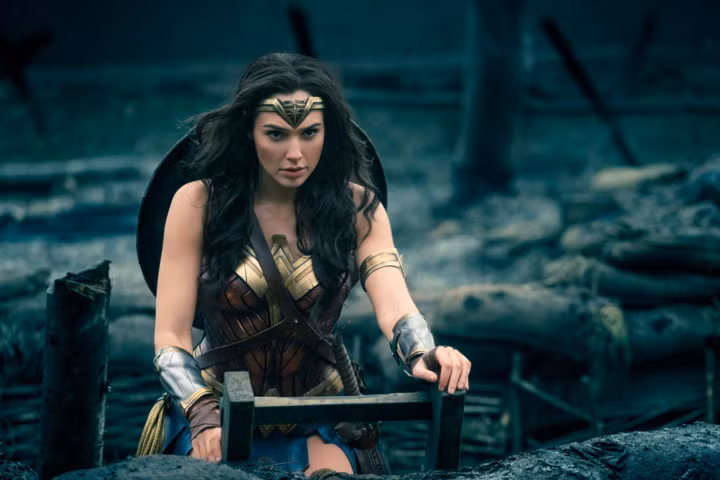 Kể từ màn chào sân thành công rực rỡ ấy, cô đã được hãng phim Warner Bros cùng DC tin tưởng và lựa chọn là diễn viên chính cho các phần phim riêng của "Wonder Woman" cũng như các siêu phẩm tiếp theo của vũ trụ điện ảnh DC.