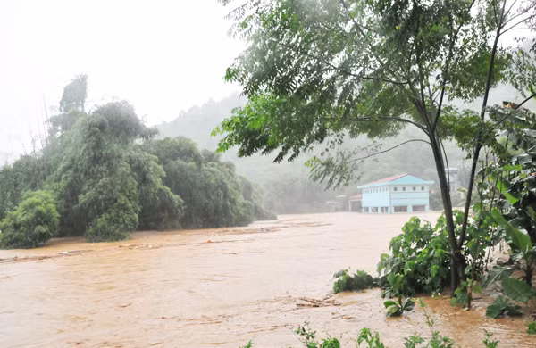 Tại thành phố Lào Cai, lũ lớn từ đầu nguồn suối Ngòi Đum và suối Đôi đổ về bất ngờ gây ngập nhiều hộ dân ở tổ 1A, tổ 1B (phường Kim Tân) và tổ 14 (phường Nam Cường). Theo thống kê ban đầu tại ở tổ 1A, tổ 1B (phường Kim Tân) đã có trên 50 nhà dân bị ngập sâu và tổ 14 (phường Nam Cường) có 6 nhà bị ngập. Tại thành phố Lào Cai, lũ lớn từ đầu nguồn suối Ngòi Đum và suối Đôi đổ về bất ngờ gây ngập nhiều hộ dân ở tổ 1A, tổ 1B (phường Kim Tân) và tổ 14 (phường Nam Cường). Theo thống kê ban đầu tại ở tổ 1A, tổ 1B (phường Kim Tân) đã có trên 50 nhà dân bị ngập sâu và tổ 14 (phường Nam Cường) có 6 nhà bị ngập.