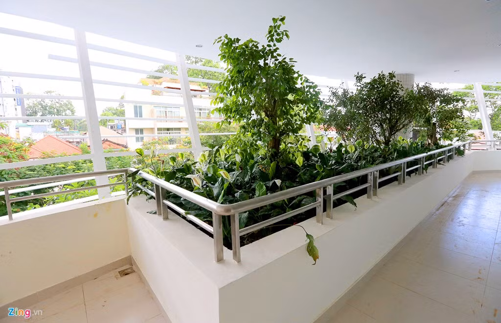 Đi kèm với hành lang rộng, thoáng là những dãy cây xanh tươi, tạo nên một công trình xanh, gần gũi với thiên nhiên.