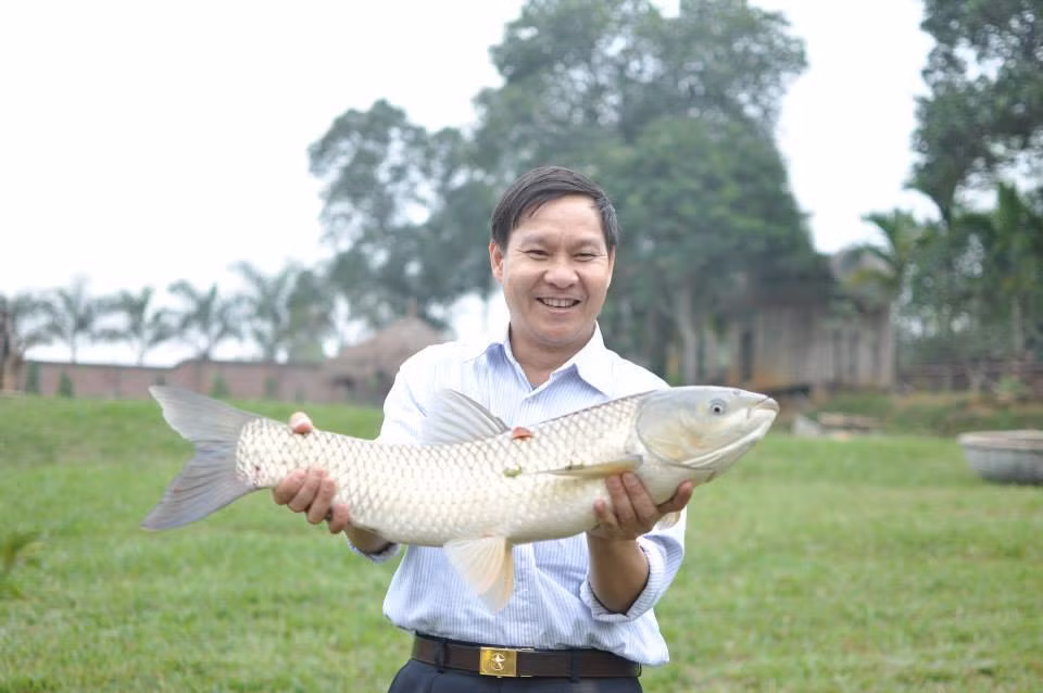 ...bởi vì không khó để câu được con cá lớn như thế này.