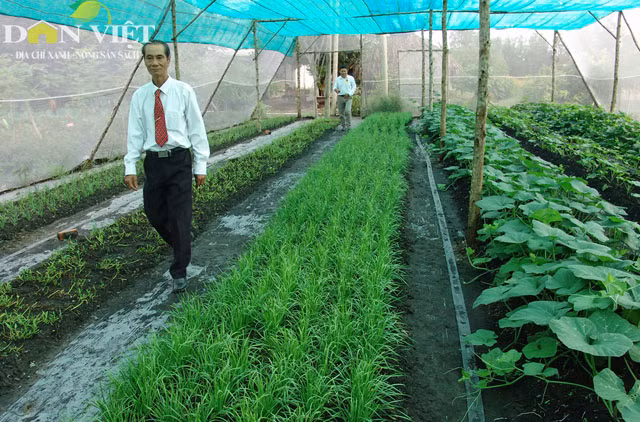 HTX hiện đang trồng thí điểm trên diện tích 2000m2. Tính tổng cộng chi phí lắp đặt nhà màng, nguồn đất nhân tạo, cây giống… chỉ khoảng 40 – 50 triệu/1.000m2. Sau khi phủ bạt nền, vun đất nhân tạo cao độ 10cm thì bắt đầu trồng và thu hoạch. Đặc điểm nổi bật của phương pháp canh tác này là rau quả trồng trong nhà màng phòng trừ sâu bệnh gây hại; tận dụng được hết các phế thải nông nghiệp như lục bình, cỏ dại, các loại rác thải hữu cơ từ chợ đầu mối.