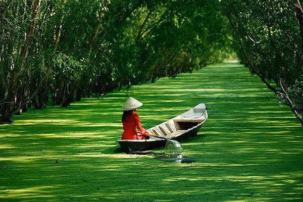 Đến rừng tràm Trà Sư, bạn có thể bỏ lại những bộn bề lo toan của cuộc sống thường ngày, để cảm nhận không gian thanh bình mộc mạc, hít thở bầu không khí trong lành, cùng ngắm khung cảnh thiên nhiên nên thơ và nghe tiếng chim hót líu lo.