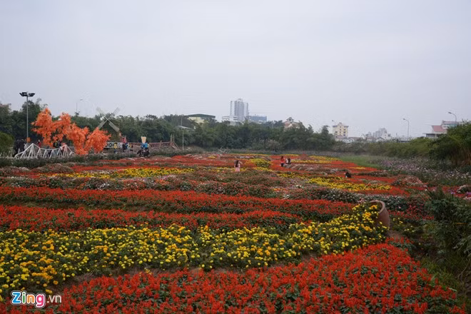 Kiem boi tien tu viec trong hoa giua long ho sen