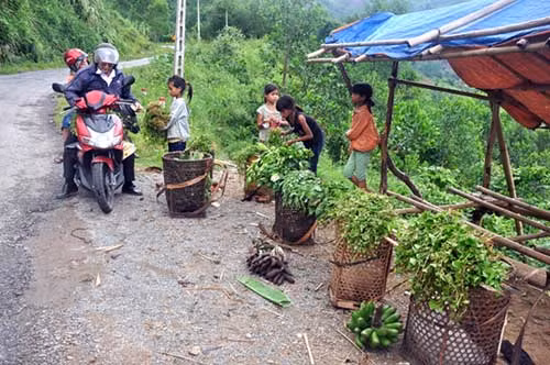 Một điểm bán các loại nông sản ở ven đường huyện Tây Trà.