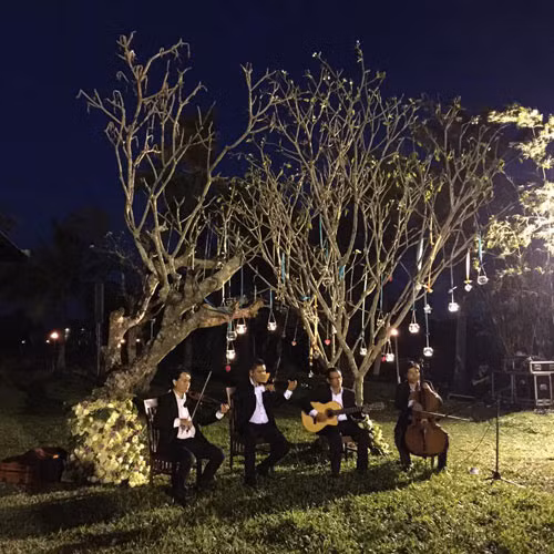 Trong đám cưới, ban nhạc chơi guitar dưới những gốc cây khiến buổi tiệc thêm phần du dương và lãng mạn.