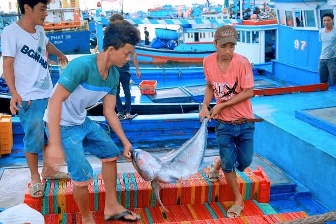 Khách du lịch đến đảo thường mua hải sản tươi sống trực tiếp từ tàu thuyền của ngư dân.