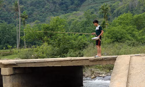 Độc đáo câu cá bằng... trứng kiến Doc dao cau ca bang... trung kien