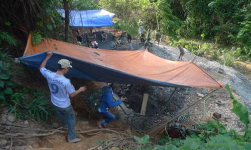 Đại công trường khai thác vàng.