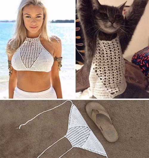 Một cô mẫu có vòng 1 gần 100cm quảng cáo bộ đồ bơi này... nhưng khi nhận được thì nó chỉ bằng chiếc dép. Và mèo là nhân vật được sở hữu món đồ gợi cảm này!