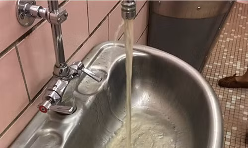 Nu sinh bi dinh chi vi dang anh nuoc ban len mang
