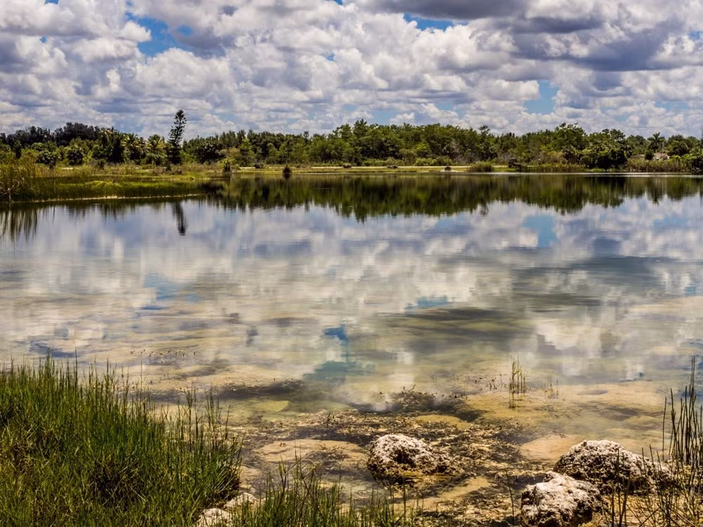 Đầm lầy Everglades ở Florida. (Nguồn: businessinsider)