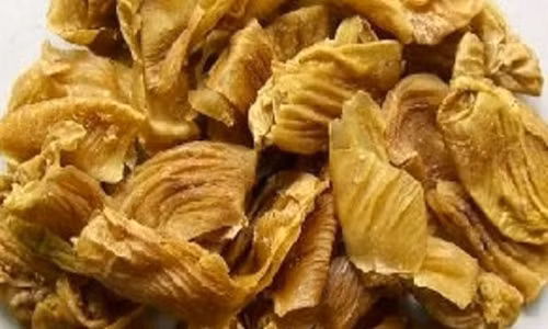 Vi sao mang me ga lai duoc vi nhu “dong trung ha thao“?