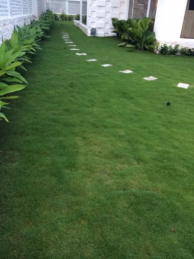Căn nhà rộng 300m2, có sân vườn rộng rãi cùng hệ thống an ninh tốt. Biệt thư triệu đô này với tông chủ đạo là màu trắng, nội thất hiện đại. Riêng nữ ca sĩ có hẳn phòng riêng để chơi đàn. Vợ chồng Công Vinh từng chia sẻ căn nhà có giá khoảng 5 - 6 tỷ đồng nhưng nhiều người cho rằng cặp đôi "khiêm tốn" để tránh sự soi mói của dư luận. Một số nguồn tin tiết lộ, giá để mua được mảnh đất cũng lên tới 10 tỷ.