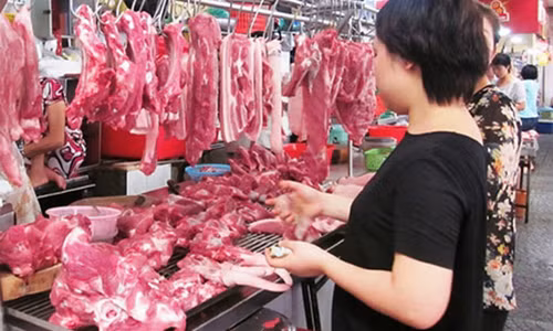 Khung hoang gia thit lon co lay lan sang nganh bo, ga?
