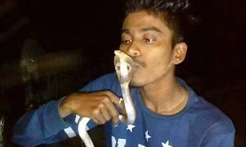 Co hon ran ho mang, soai ca bi can vao nguc chet tham