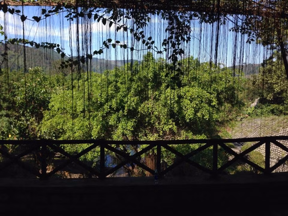 Vi sao nhat dinh phai ngao du Da Lat vao thang 12?
