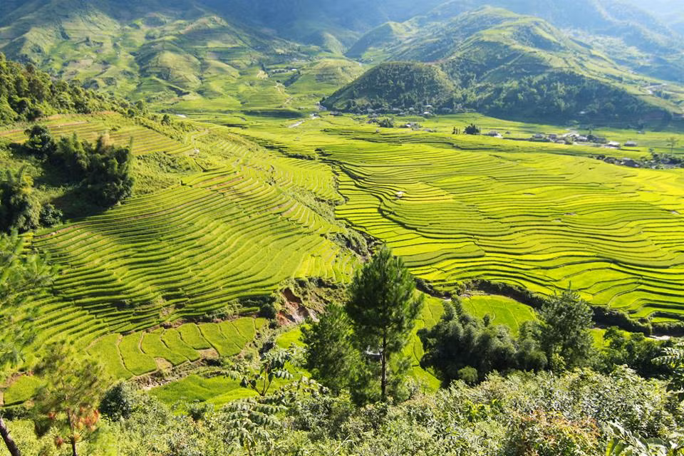 Chỉ trong vài ngày "phượt" ngắn ngủi cùng bạn bè, anh Aloha Nguyen đã ghi lại được hàng trăm bức ảnh đẹp về mùa lúa chín ở Mù Cang Chải.