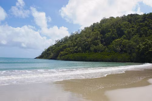 2. Cape Tribulation ở bang Queensland, Australia So với các vùng khác ở Australia, bãi biển Cape Tribulation hầu như không có cá sấu nhưng nhiều sinh vật nguy hiểm khác. Đây là nơi sinh sống của đà điểu đầu mèo, rắn độc, nhện độc và sứa.