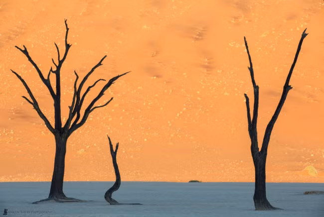 Sa mạc khô cằn ở Namibia.