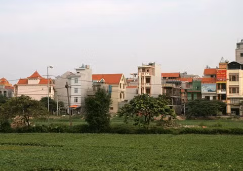 Ảnh minh họa.