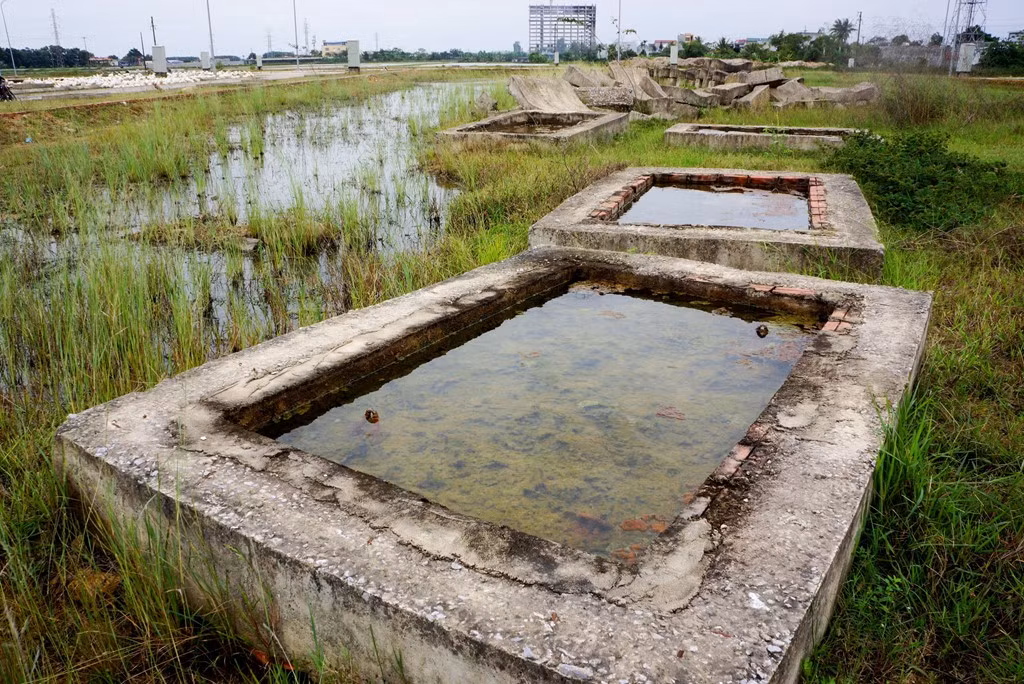 Ngoài phân định ranh giới các khu đất, nơi đây như một công trình bỏ hoang. Khung cảnh nhếch nhác, cây cỏ dại mọc um tùm, nhiều vùng trũng lầy lội, ngập đầy nước mưa.