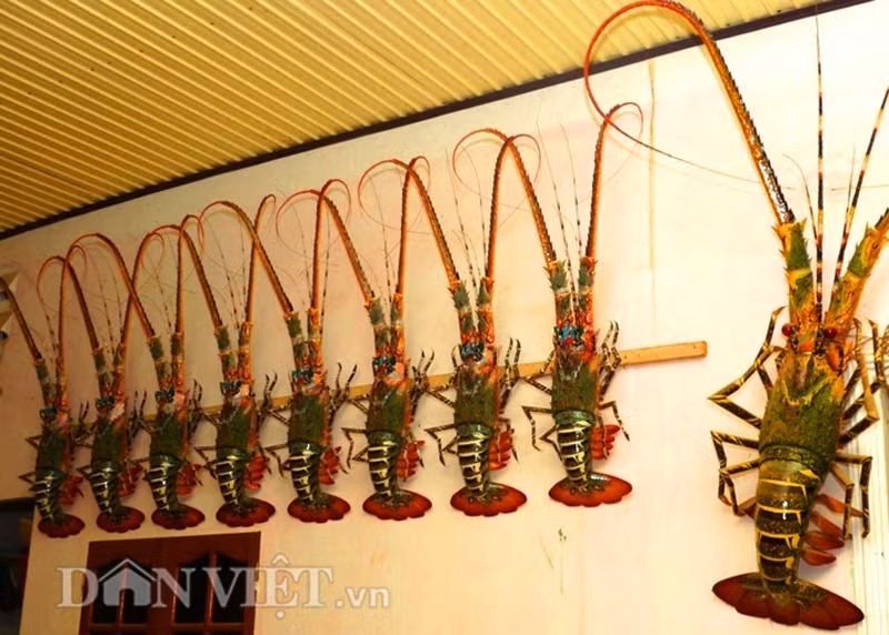 Sản phẩm tôm tre của gia đình cụ Châu được phân thành 3 loại (phân theo kích cỡ), gồm: loại nhỏ nhất có giá 350.000 đồng/con, loại trung bình có giá 400.000 đồng/con, loại lớn 1.000.000 đồng/con. Bình quân, mỗi tháng gia đình cụ bán được khoảng 200 - 300 con tôm tre, ngày Tết thì số lượng có thể tăng gấp 2-3 lần.