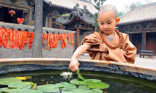 Dua tre co la so tu vi nhu the nao thi phai ban khoan len chua?