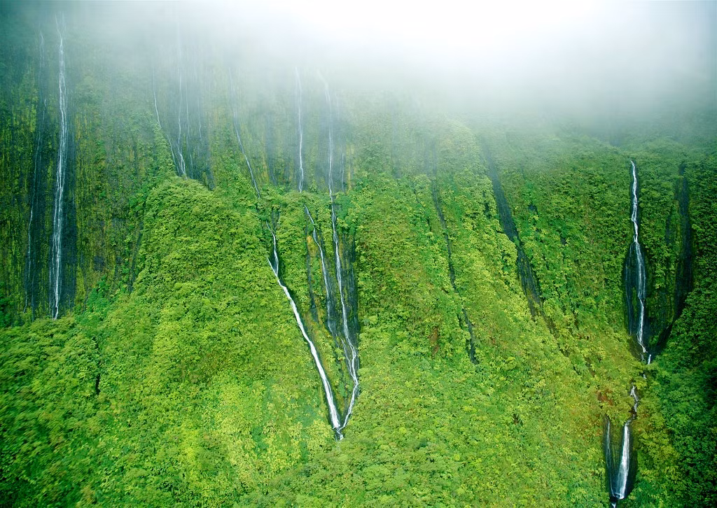 Thác Wall of Tears, đảo Maui: Mang cái tên rất nên thơ, thác “Bức tường nước mắt” được hình thành với 17 dòng thác đổ xuống vách đá. Wall of Tears nằm ở tít sâu trong dãy núi Tây Maui, gần đỉnh Pu’u Kukui. Bạn nên chiêm ngưỡng tổ hợp thác nước này từ trực thăng để nắm được trọn vẹn vẻ đẹp mỹ lệ của chúng. Ảnh: Jurvetson.