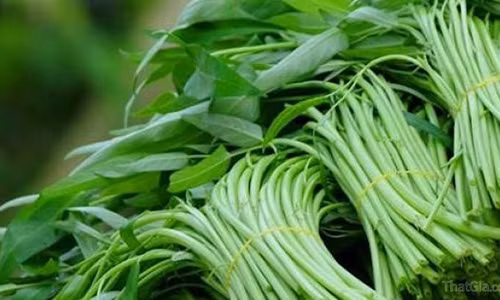 Mẹo đơn giản phân biệt rau sạch bẩn chỉ trong 1 nốt nhạc Meo don gian phan biet rau sach ban chi trong 1 not nhac