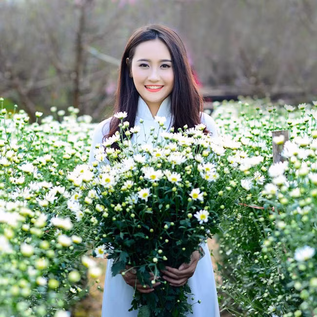 Những cánh hoa tinh khôi bừng nở khi gió đông về, mang đến cho phố phường Hà Nội vẻ đẹp mộng mơ, thanh khiết.