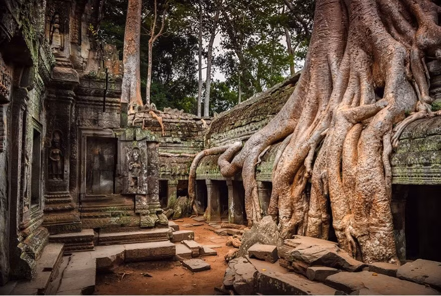 Ngôi đền Angkor tại Campuchia. Ảnh: Petro Bevilacqua.