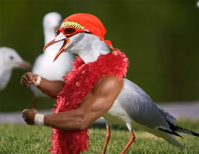 "Phong cách" thế này thì "mái" theo cả đàn nhé.