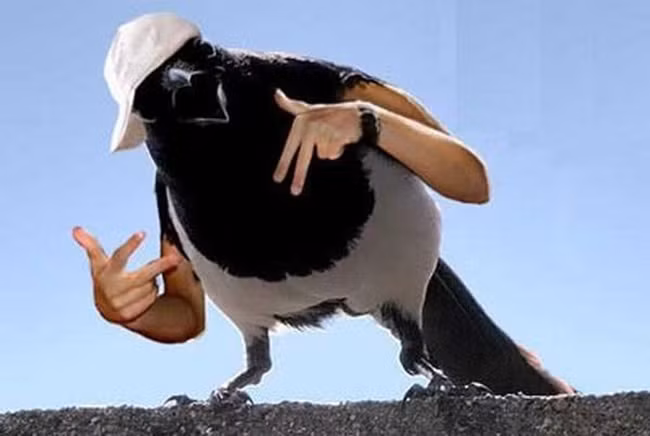 Các bác nhìn xem em giống dân "hiphop" không?