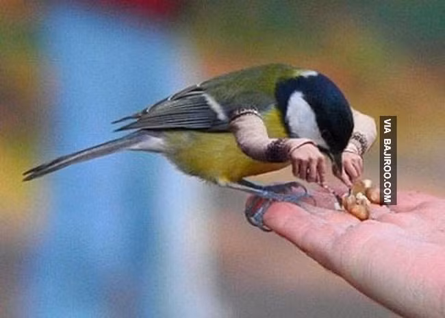 Để im tôi "chén" xong món này đã nhé.