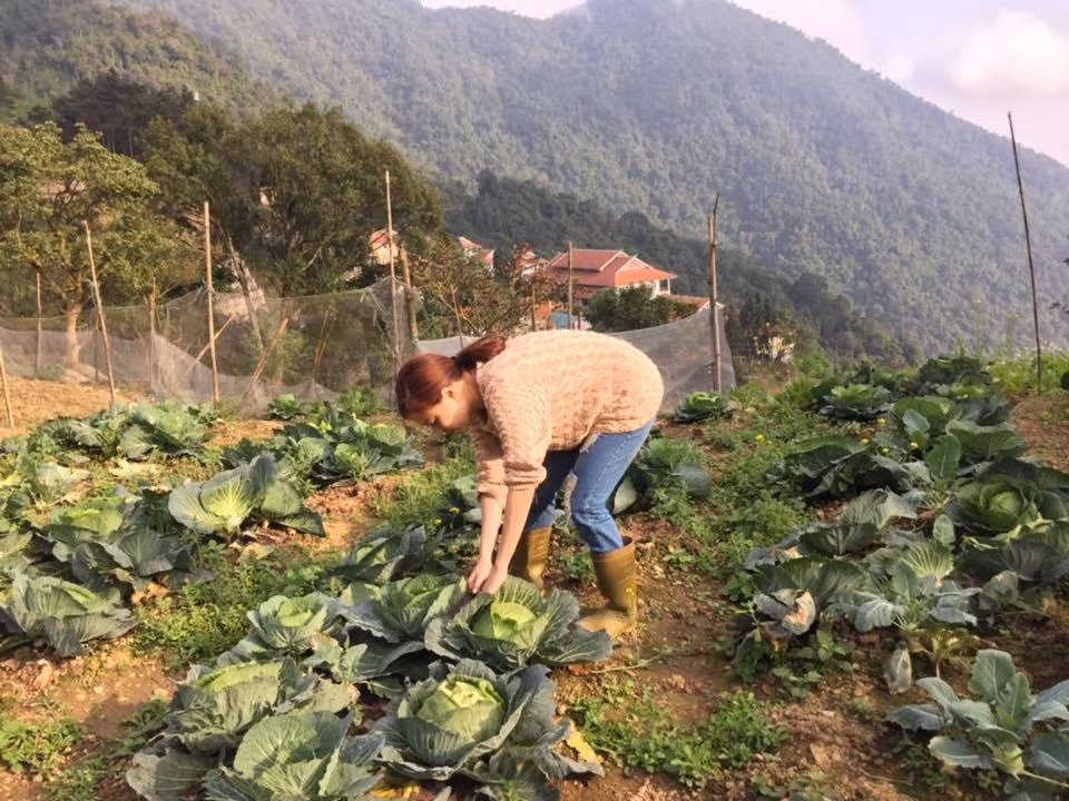 Quê gốc của Hoàng Thùy Linh ở Tam Đảo, Vĩnh Phúc. Tại đây gia đình nữ ca sĩ có một biệt thự nhà vườn trên đồi làm địa điểm nghỉ dưỡng cuối tuần. Khoảng đất trống xung quanh nhà được dùng để trồng rau xanh.