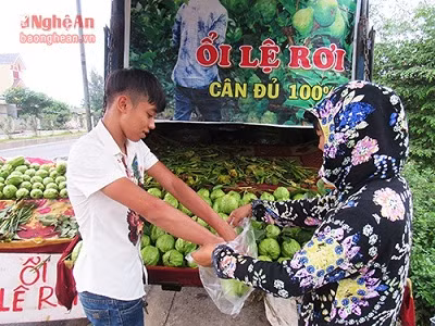 Bat ngo 